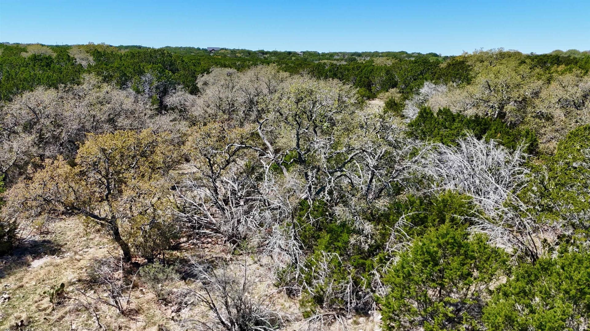 5 acres in San Saba County gallery image 3