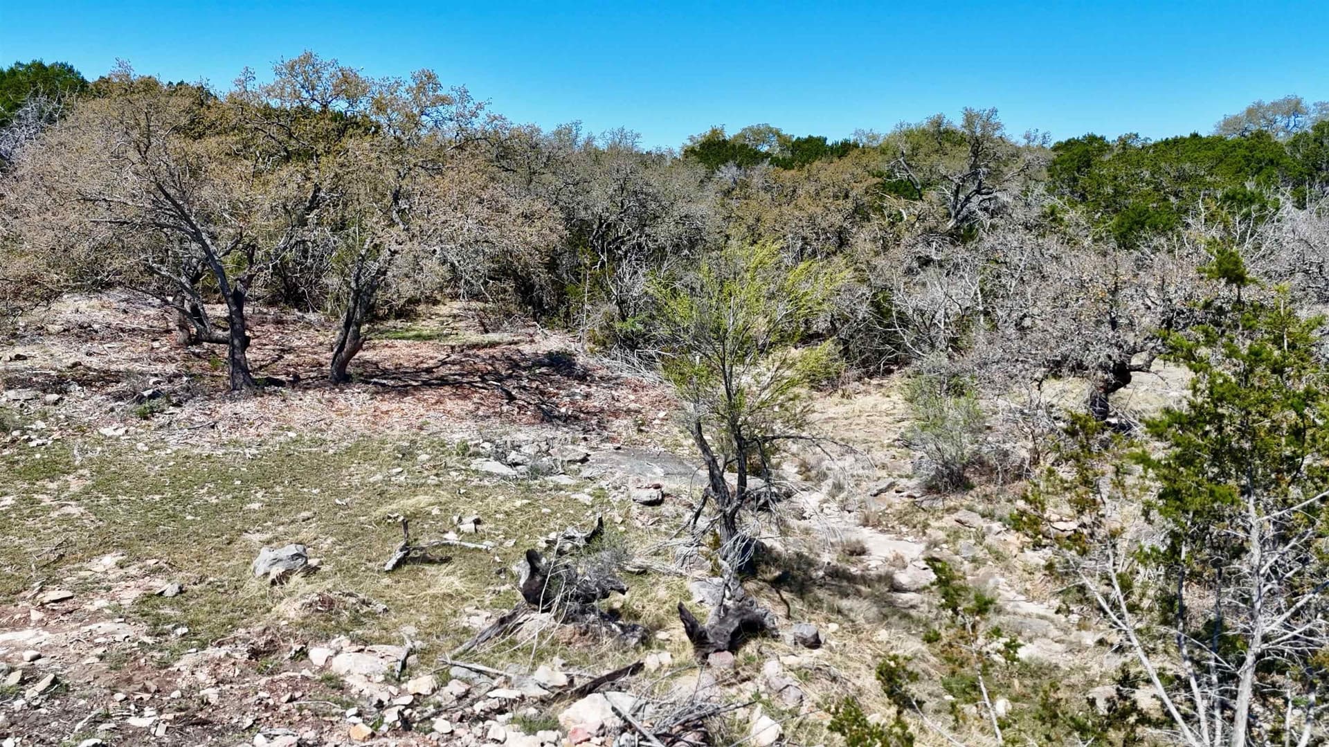 5 acres in San Saba County gallery image 2