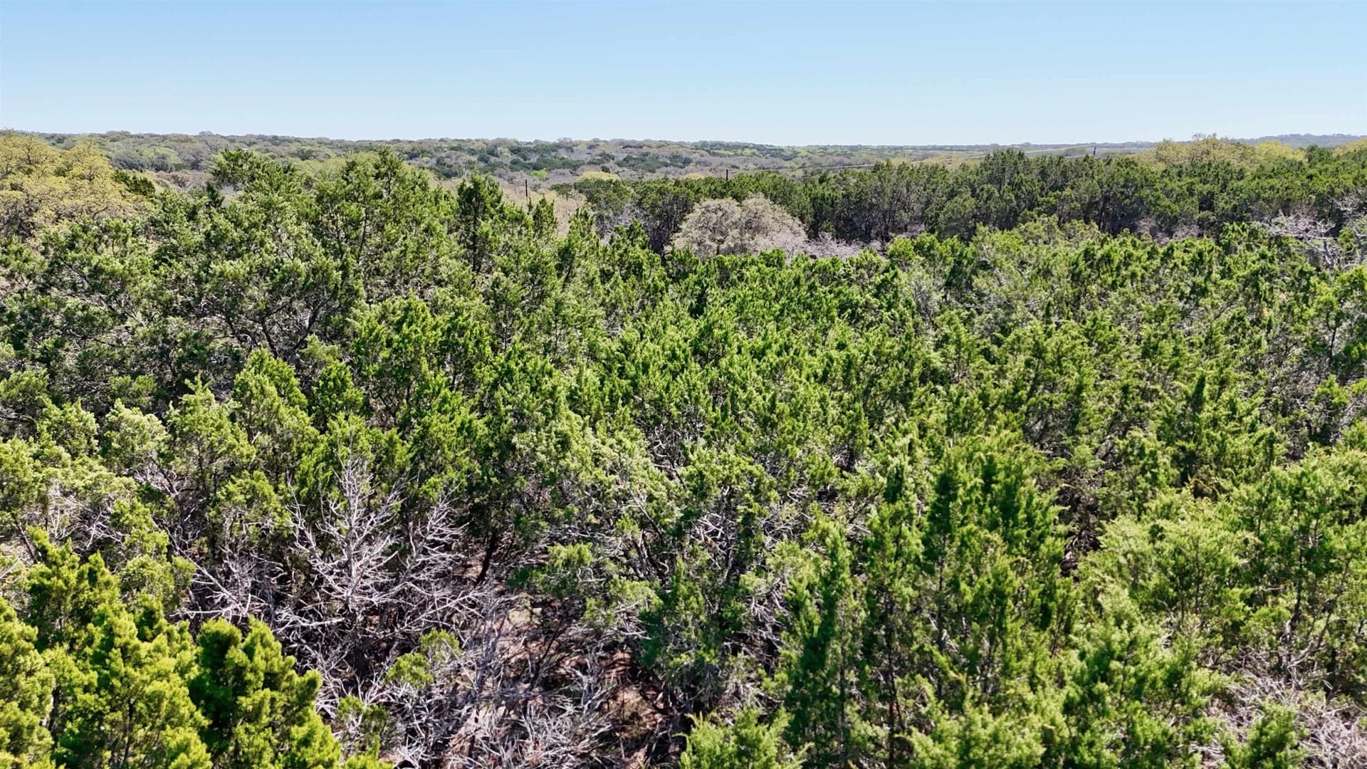 5 acres in San Saba County - photo 11