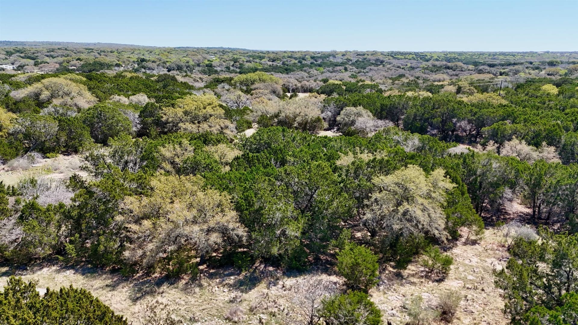 5 acres in San Saba County gallery image 4