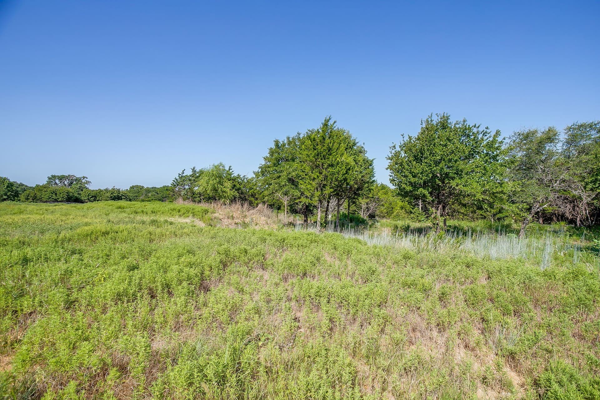 3.94 acres in Parker County - photo 25