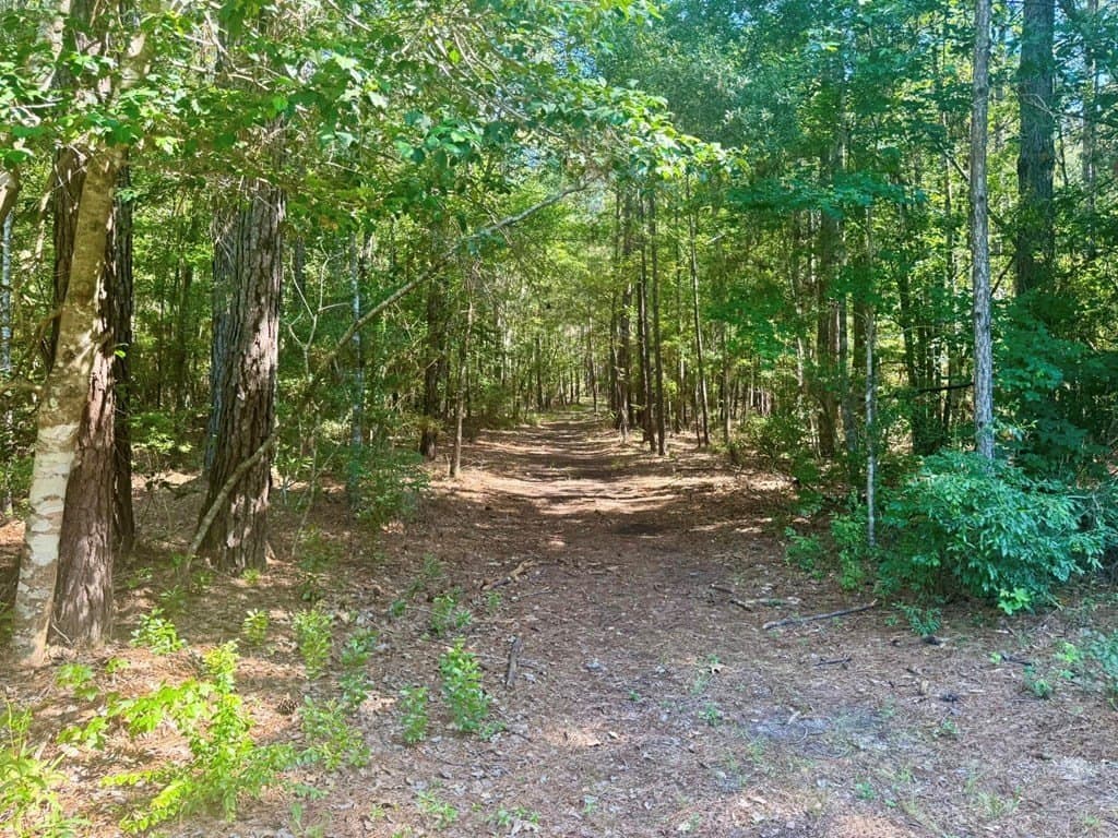10.46 acres in Texas County - photo 9