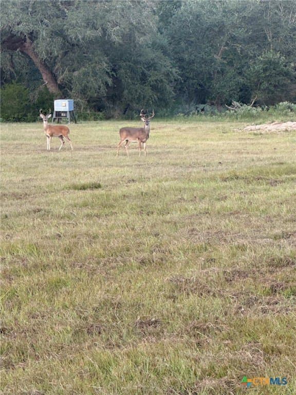 22 acres in Lavaca County
