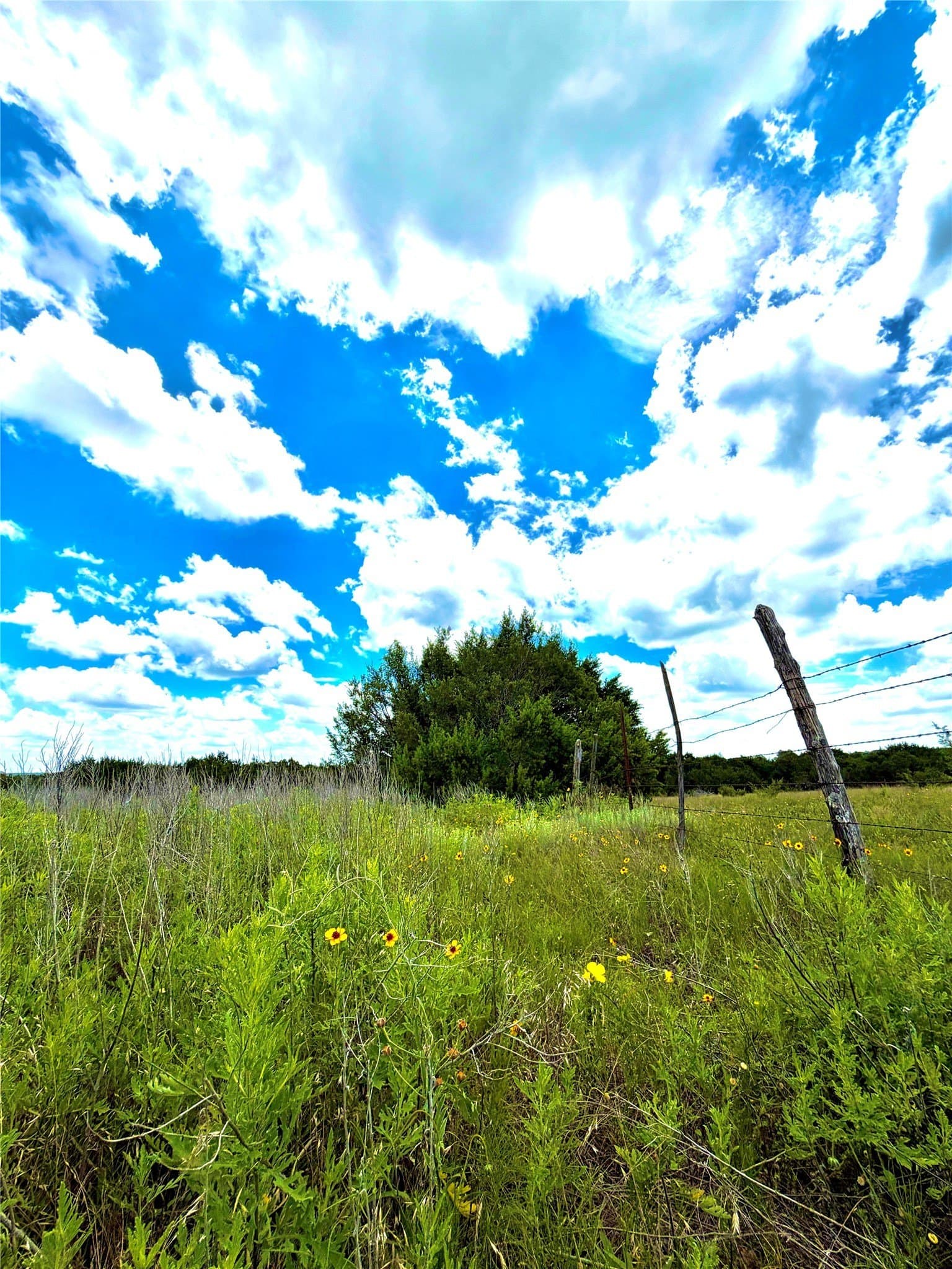 2.29 acres in Erath County - photo 8