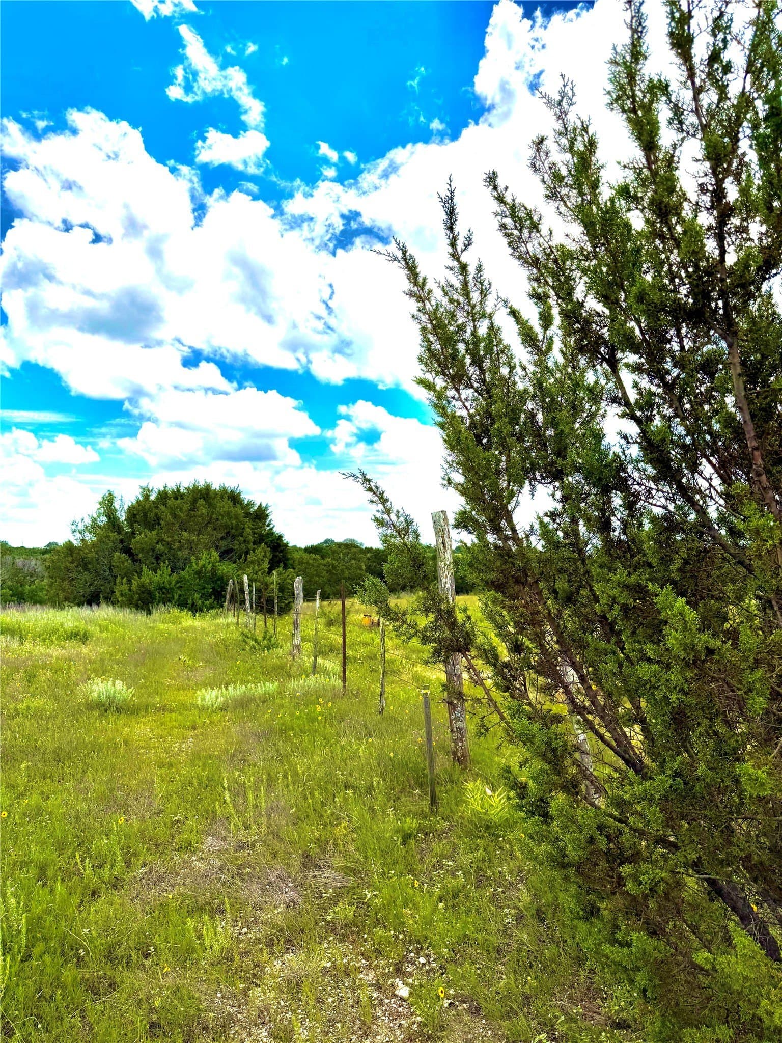 2.29 acres in Erath County - photo 7