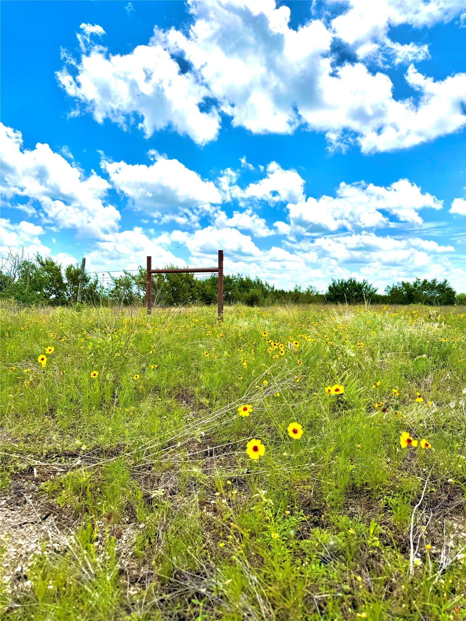 2.29 acres in Erath County - photo 3