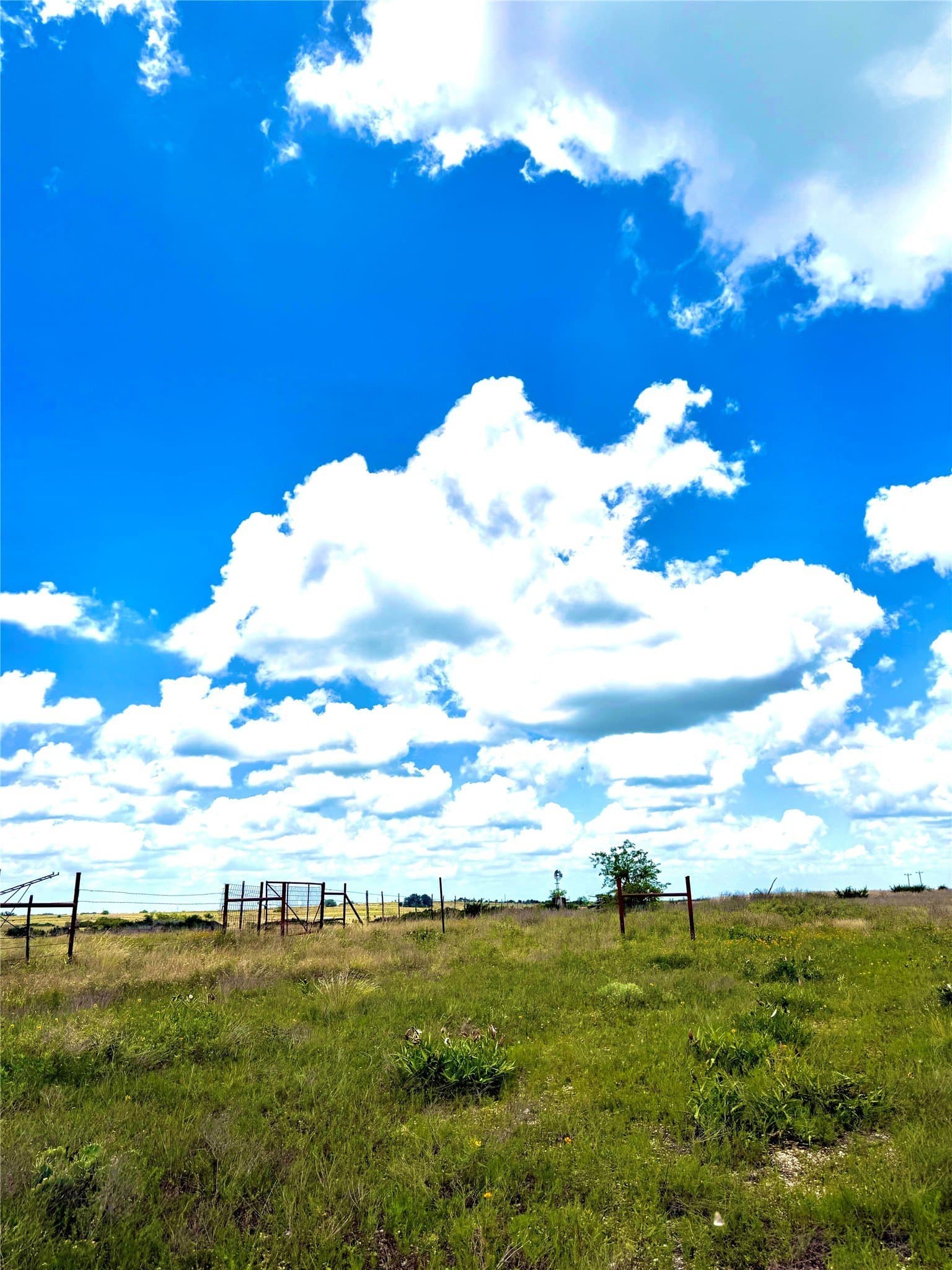 2.29 acres in Erath County - photo 5
