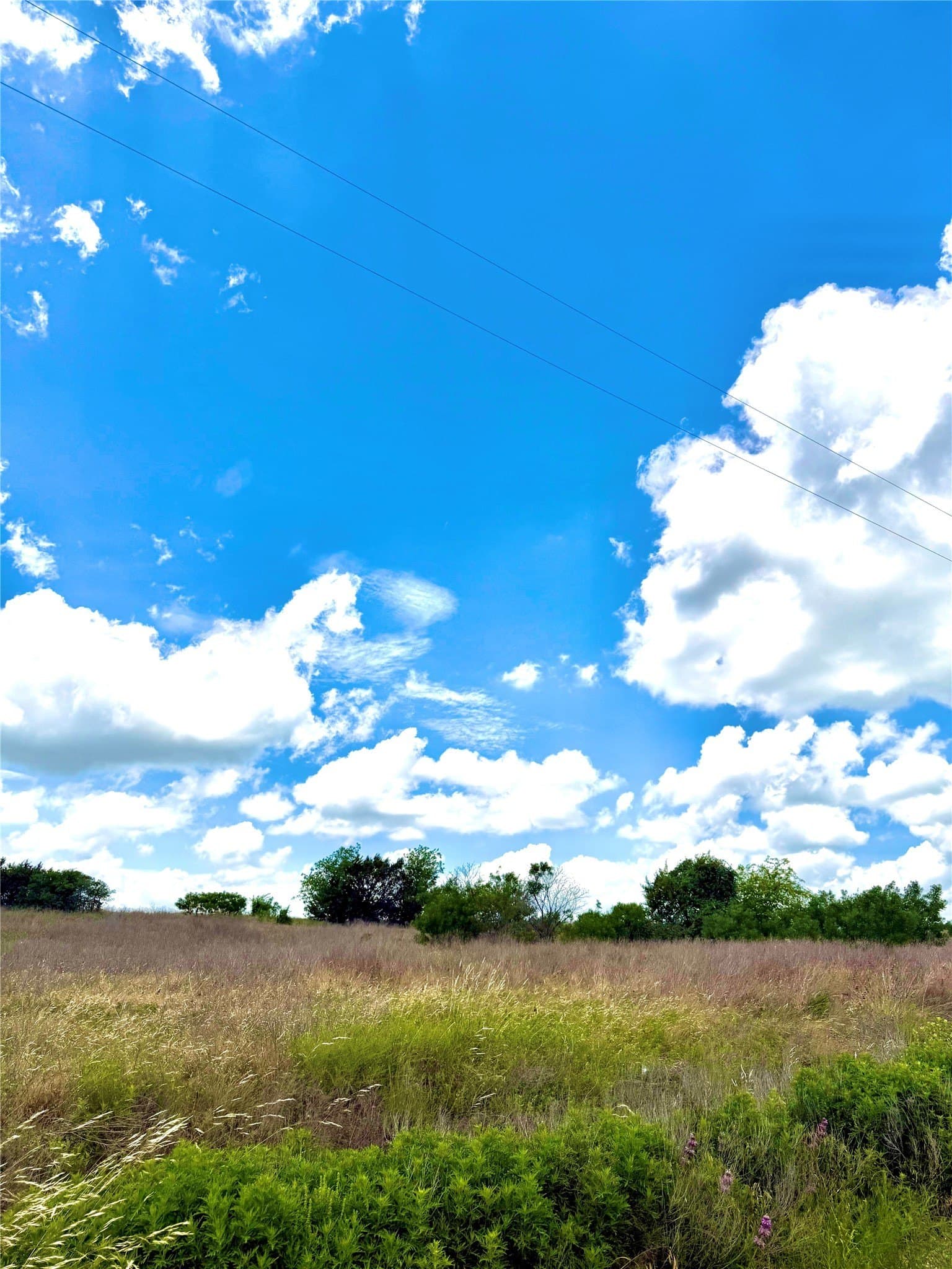 2.29 acres in Erath County - photo 2