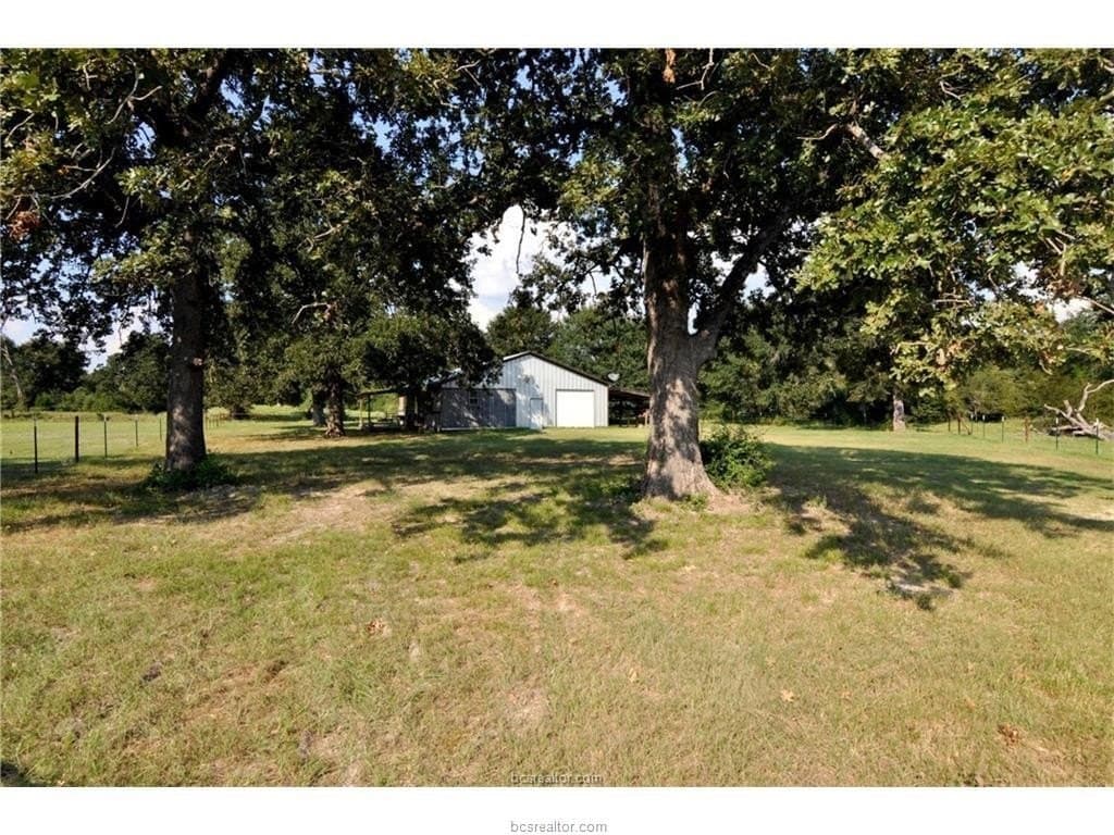 10.03 acres in Brazos County gallery image 3