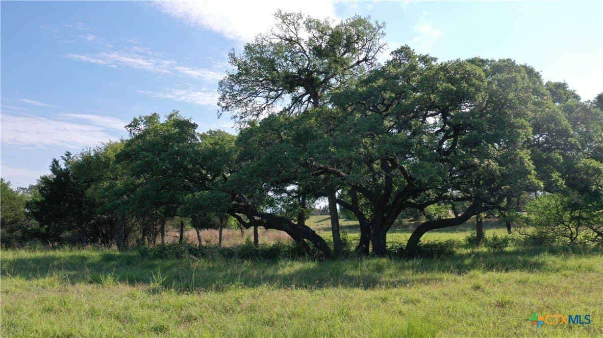 8.96 acres in Bell County - photo 12