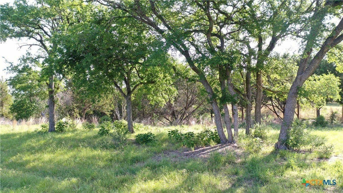 8.96 acres in Bell County featured view