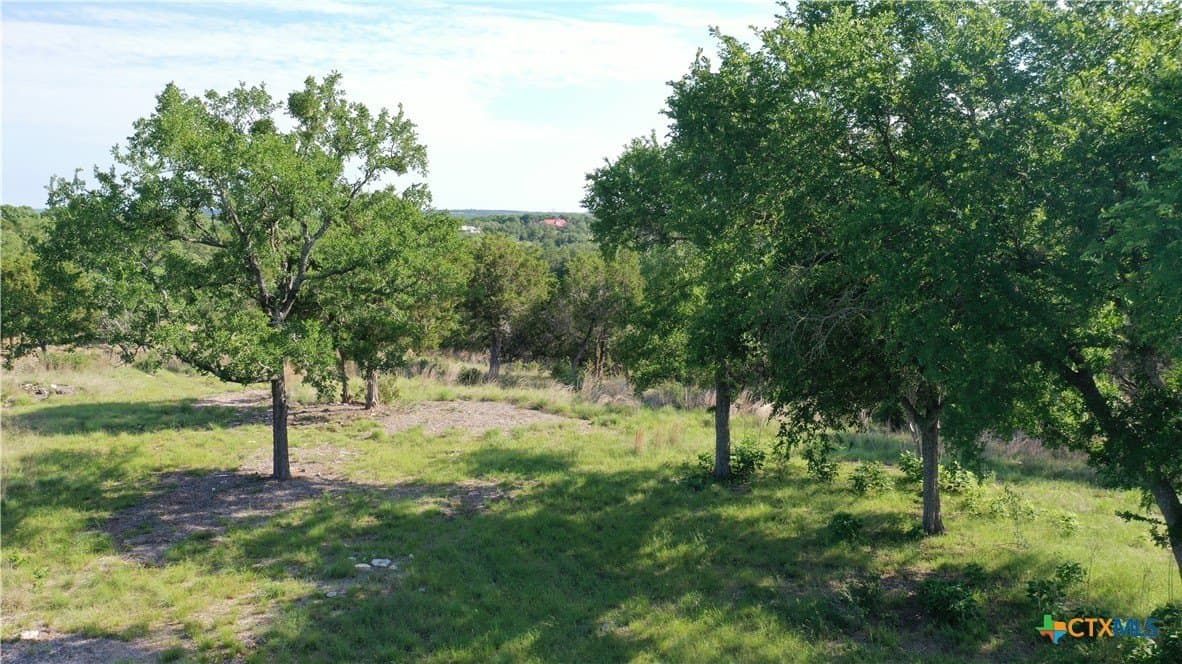8.96 acres in Bell County gallery image 4