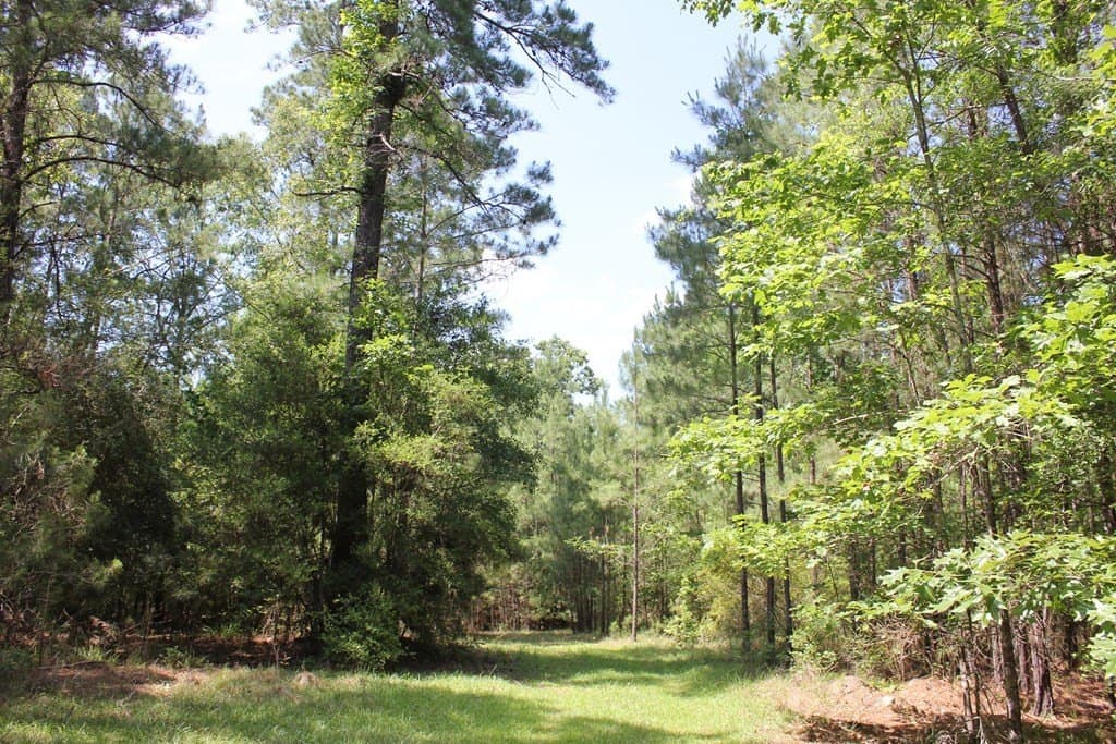 153.96 acres in Texas County - photo 12