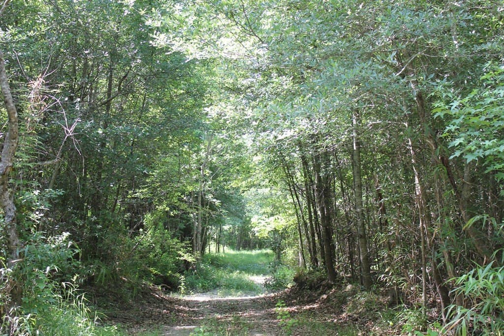 153.96 acres in Texas County - photo 29