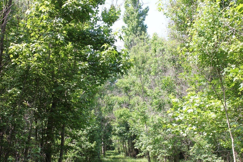 153.96 acres in Texas County - photo 30