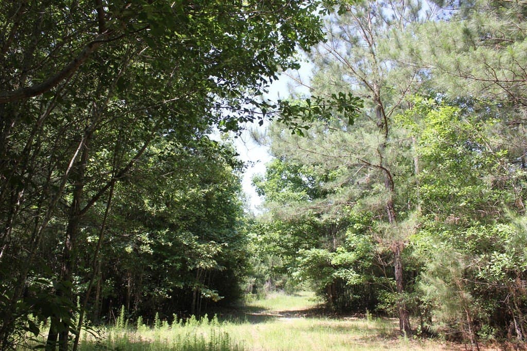 153.96 acres in Texas County - photo 16