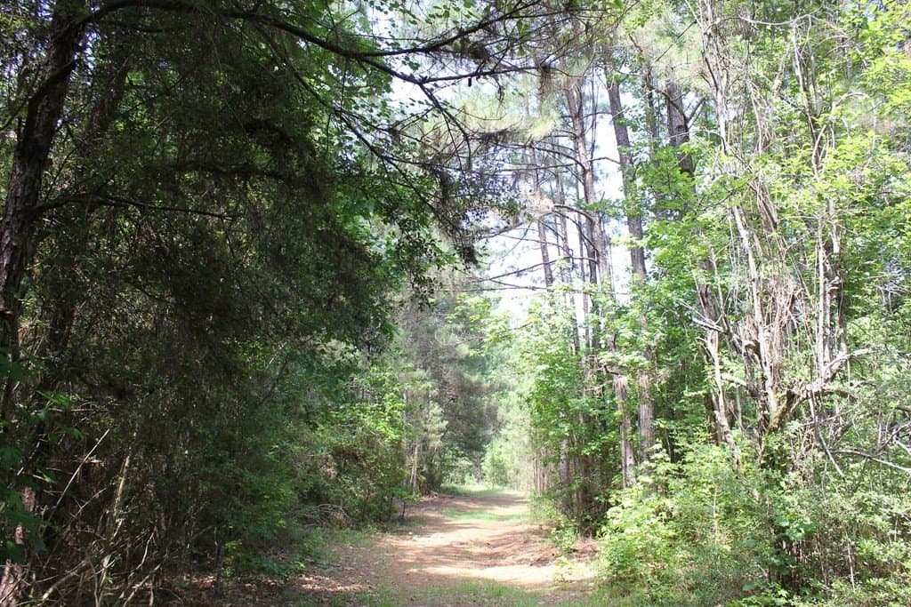 153.96 acres in Texas County - photo 11