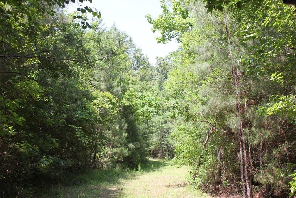 153.96 acres in Texas County - photo 15