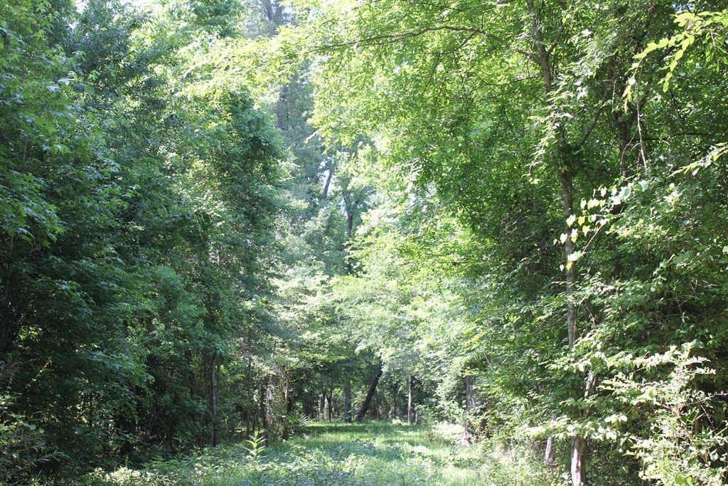 153.96 acres in Texas County - photo 36