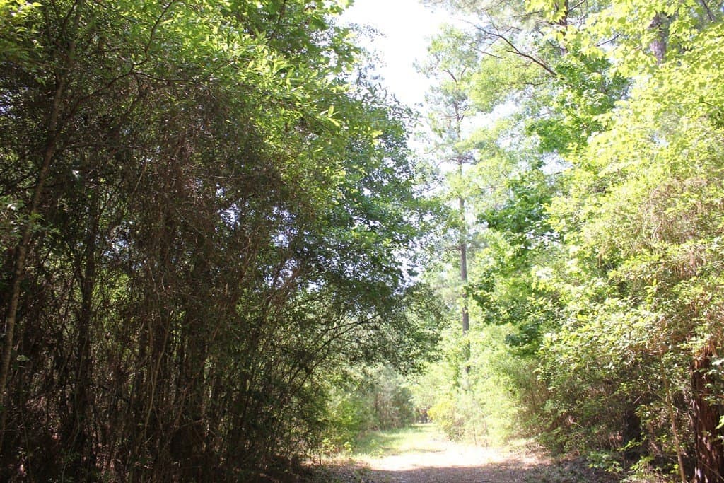153.96 acres in Texas County - photo 17