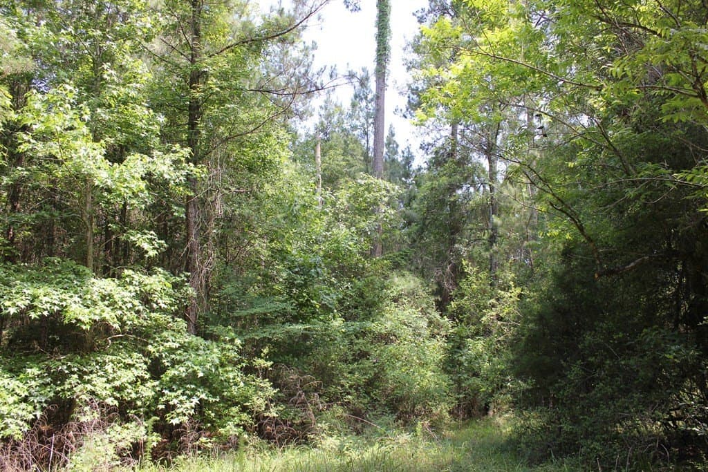 153.96 acres in Texas County - photo 10