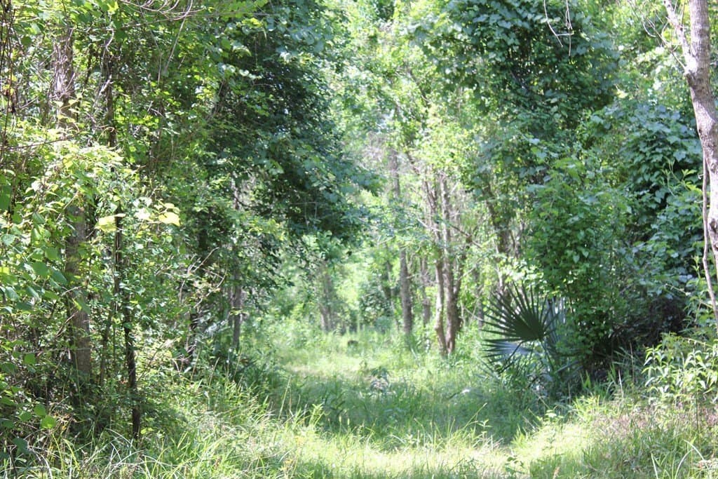 153.96 acres in Texas County - photo 25