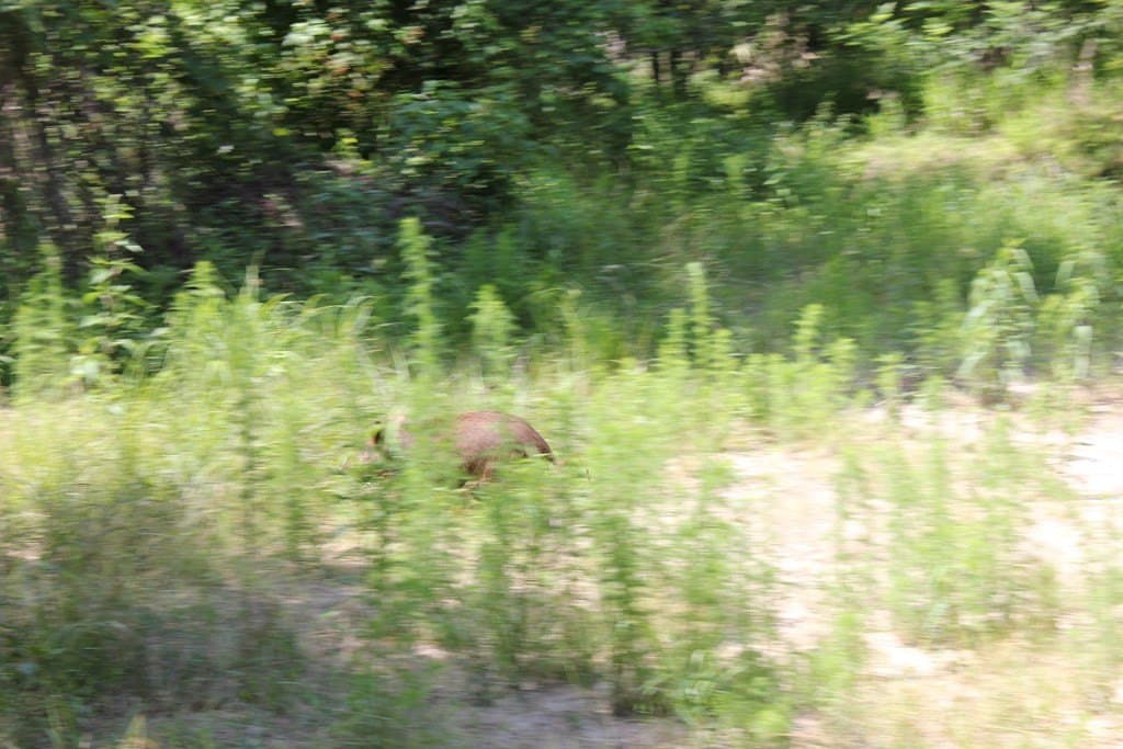 153.96 acres in Texas County - photo 26