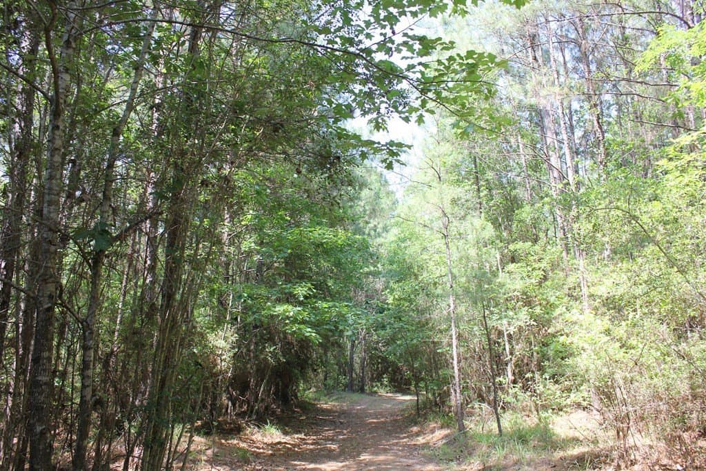 153.96 acres in Texas County - photo 14