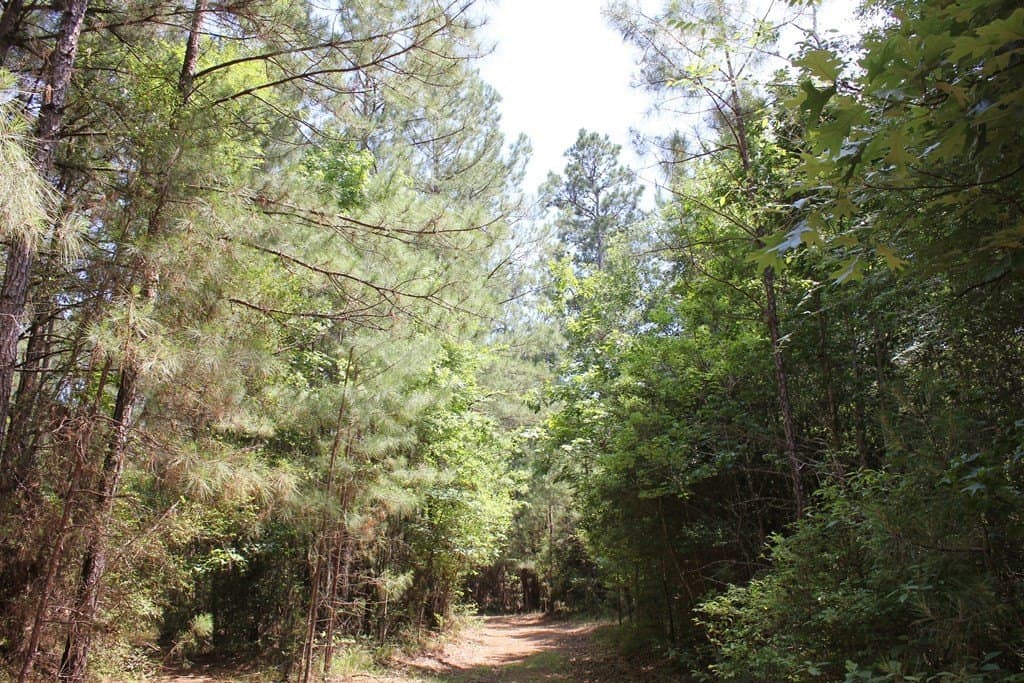153.96 acres in Texas County - photo 13