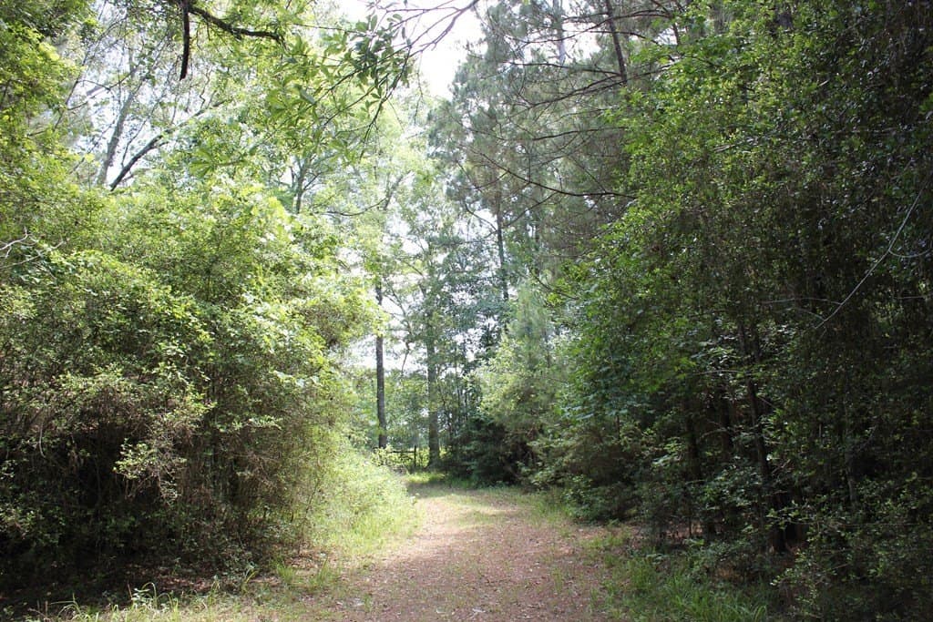 153.96 acres in Texas County - photo 9
