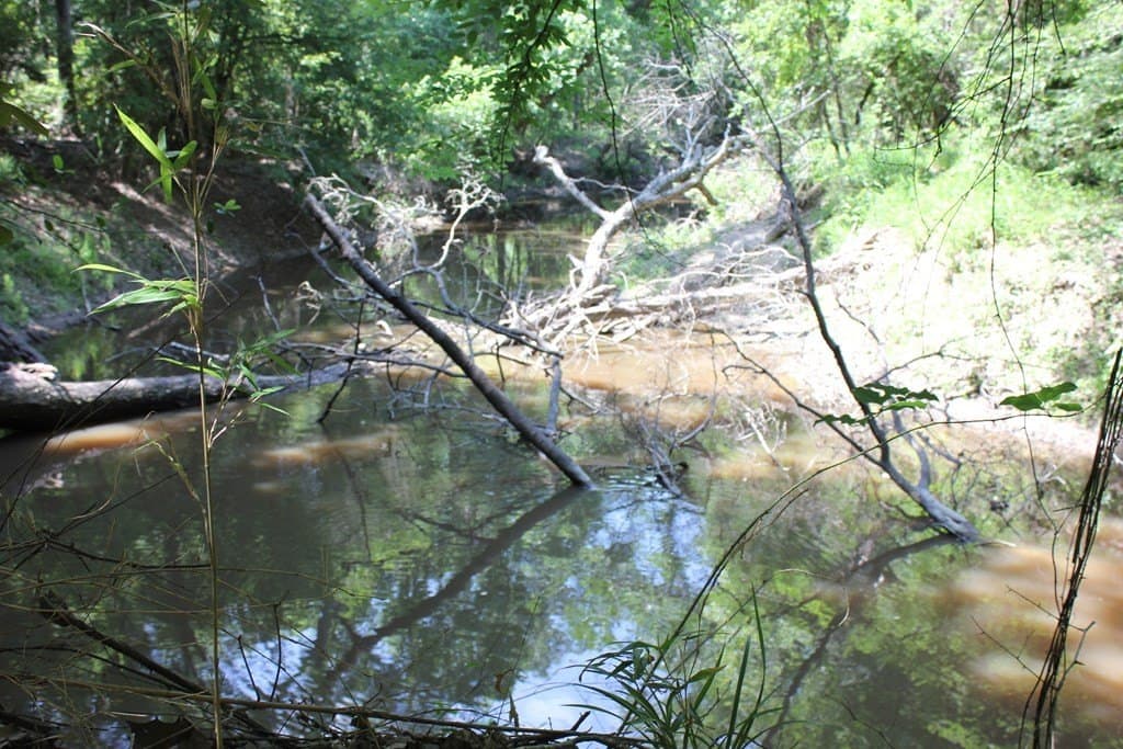 153.96 acres in Texas County - photo 6