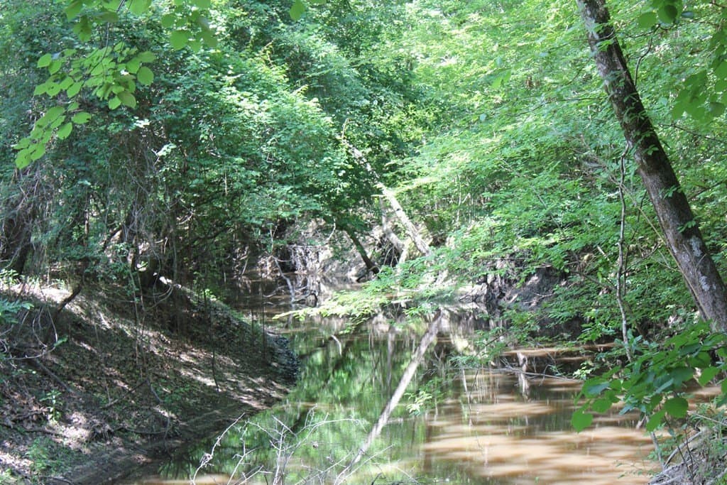 153.96 acres in Texas County - photo 4
