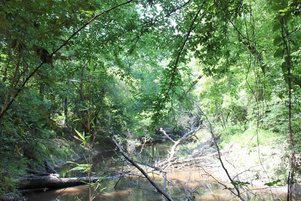 153.96 acres in Texas County - photo 5