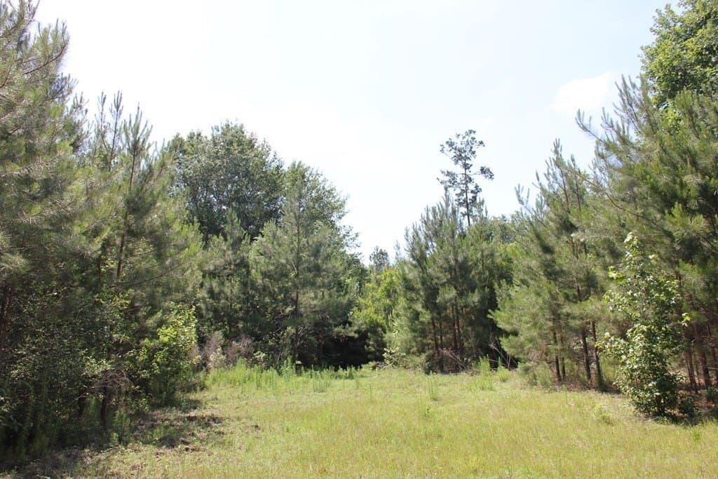 153.96 acres in Texas County - photo 18
