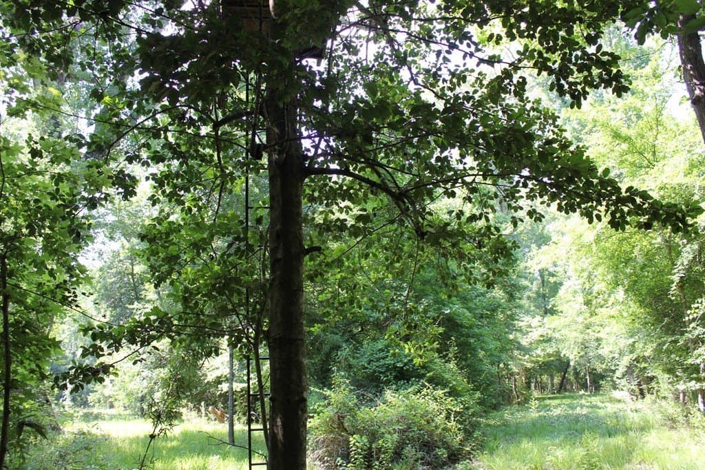 153.96 acres in Texas County - photo 33