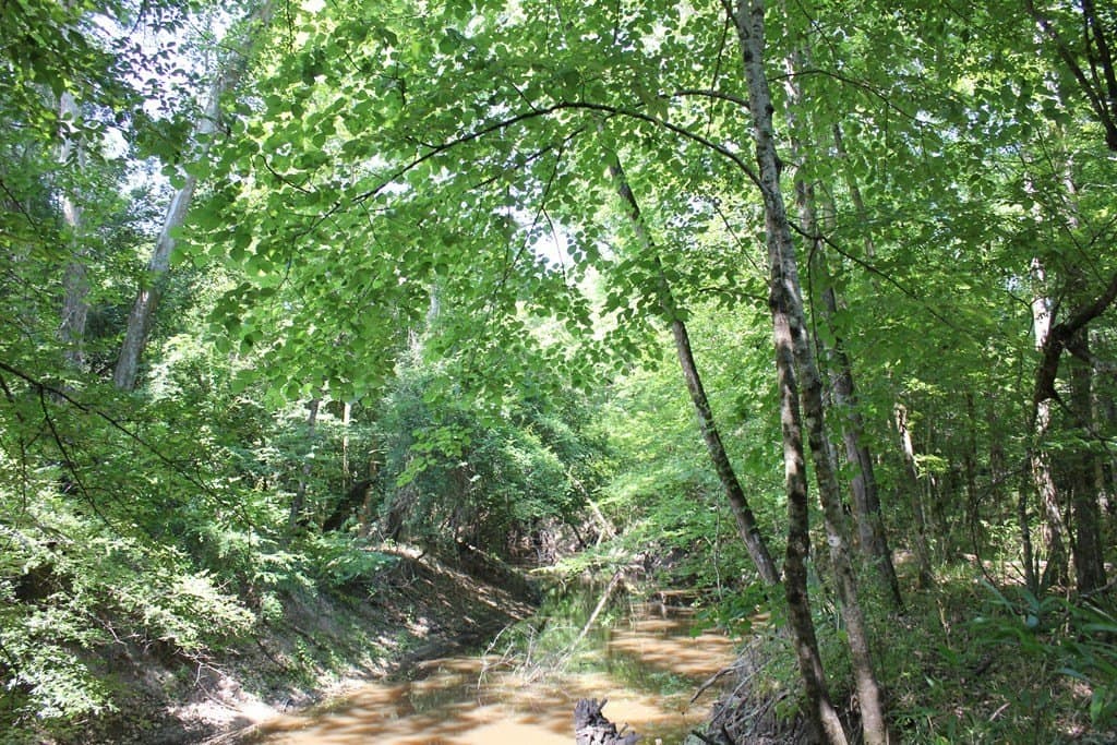 153.96 acres in Texas County - photo 3