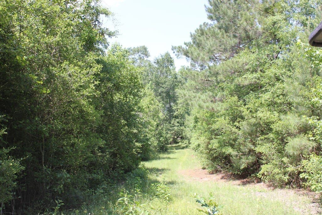 153.96 acres in Texas County - photo 19