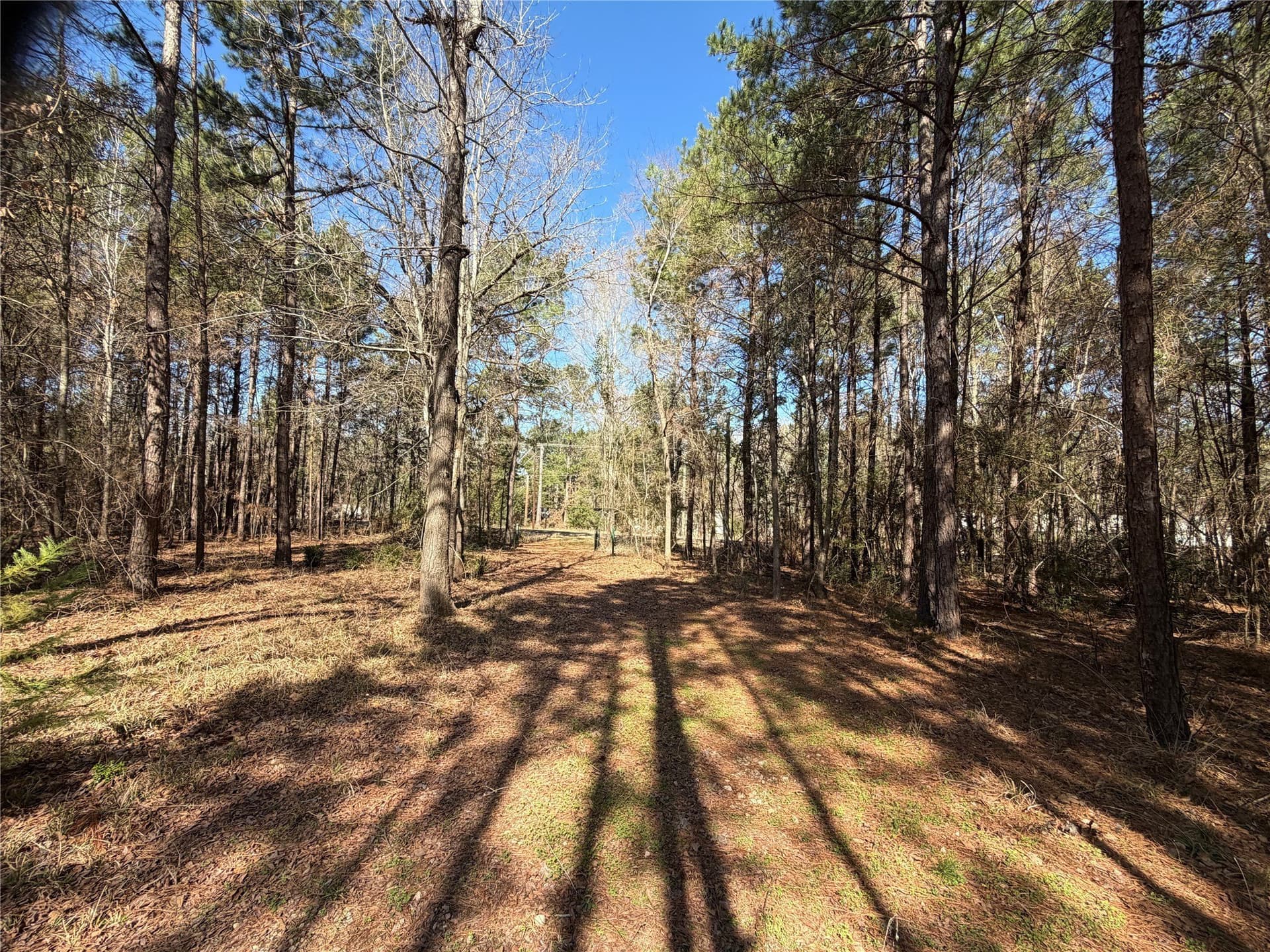 10 acres in Cherokee County - photo 12