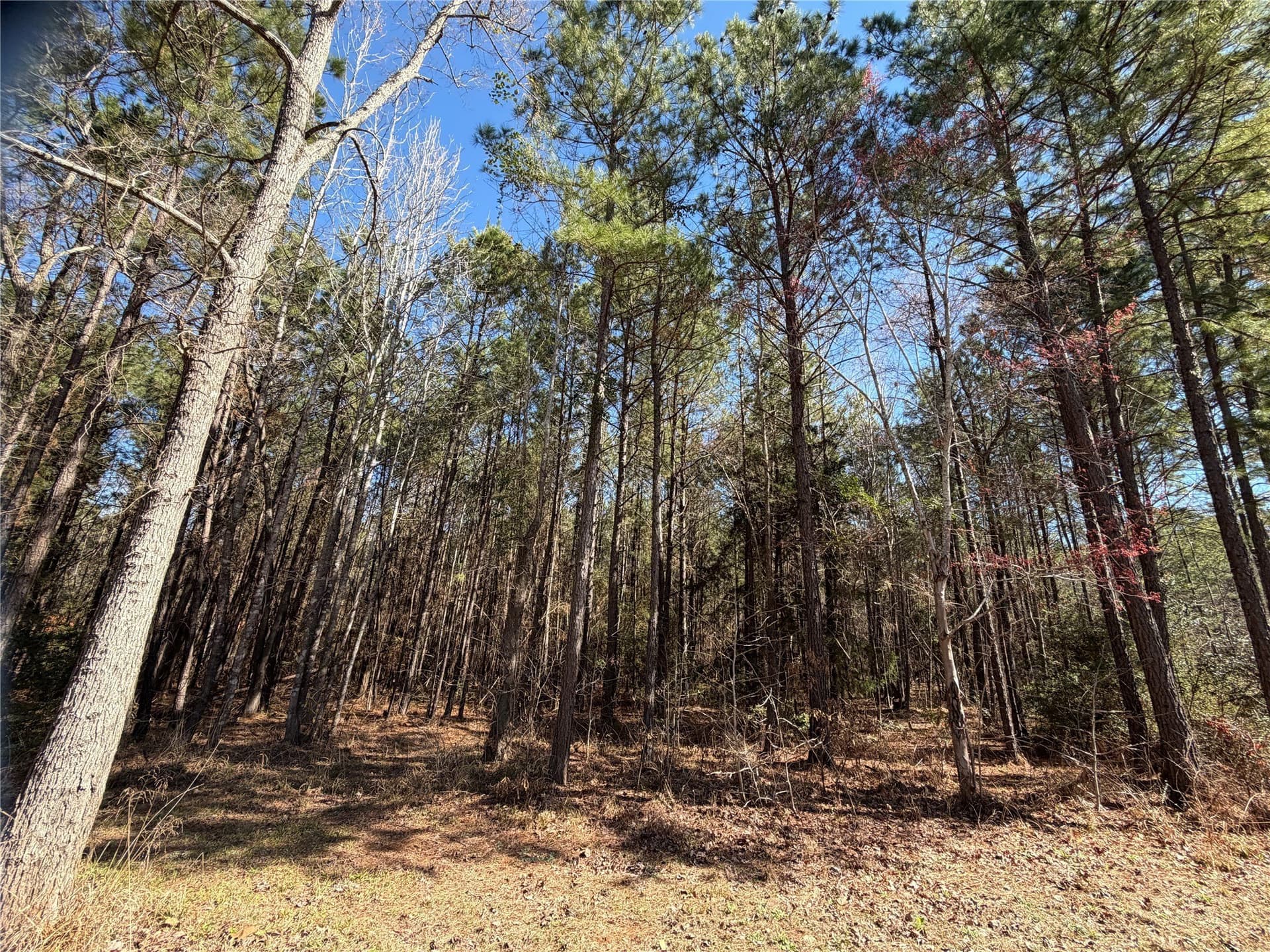 10 acres in Cherokee County - photo 11