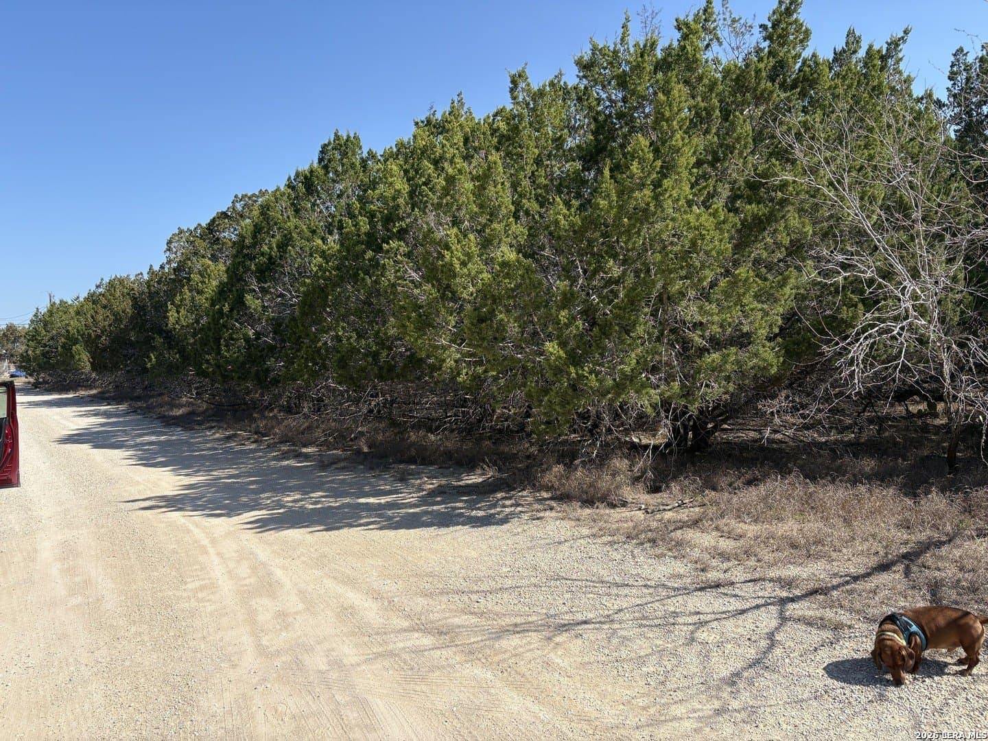 0.13 acres in Bandera County gallery image 2