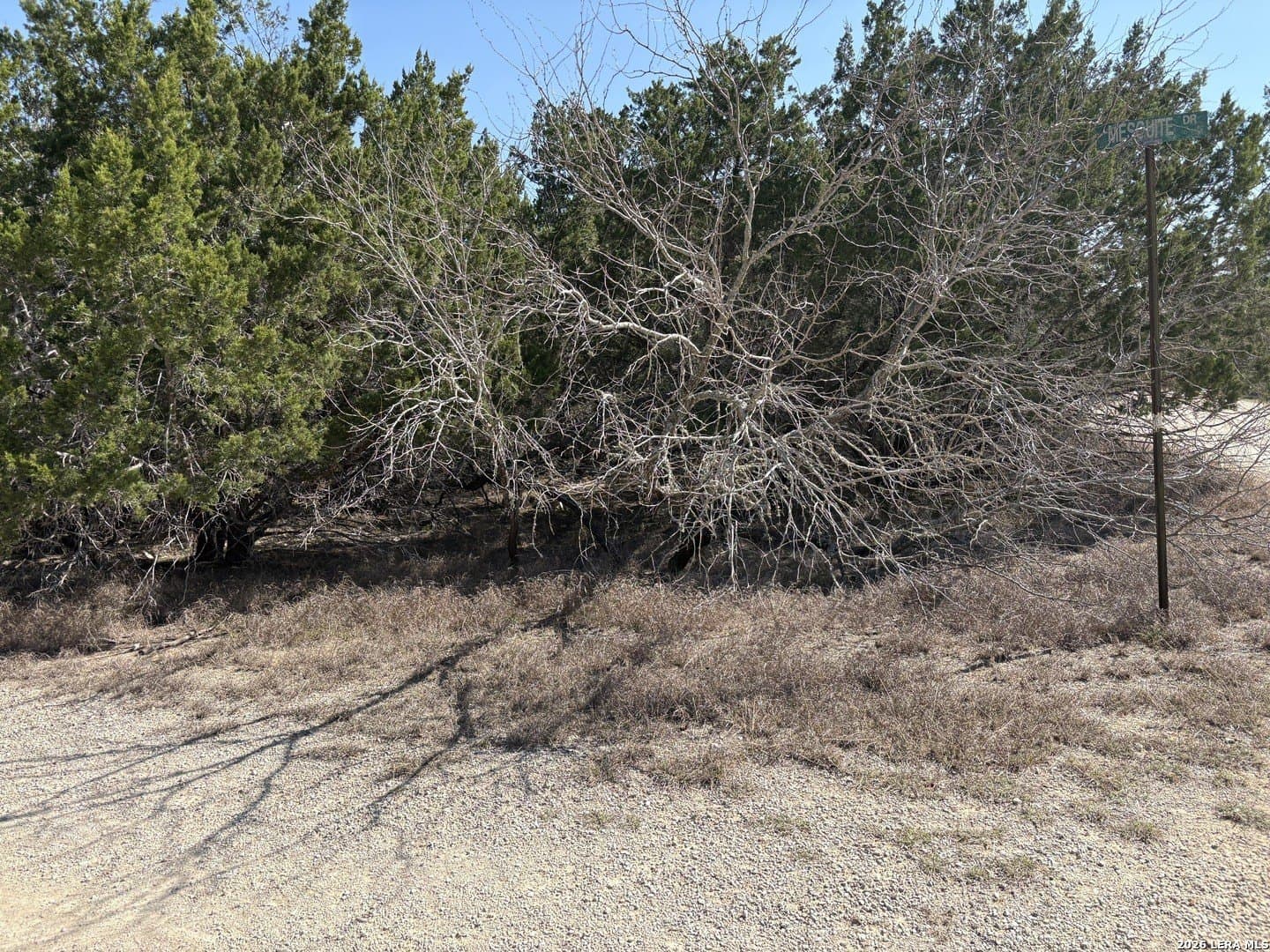 0.13 acres in Bandera County gallery image 4