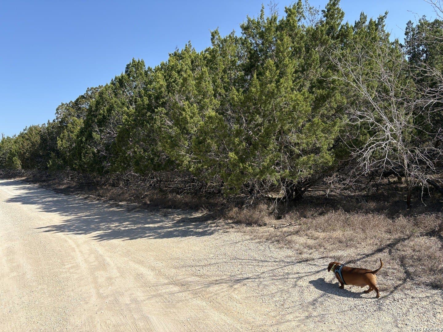 0.13 acres in Bandera County featured view