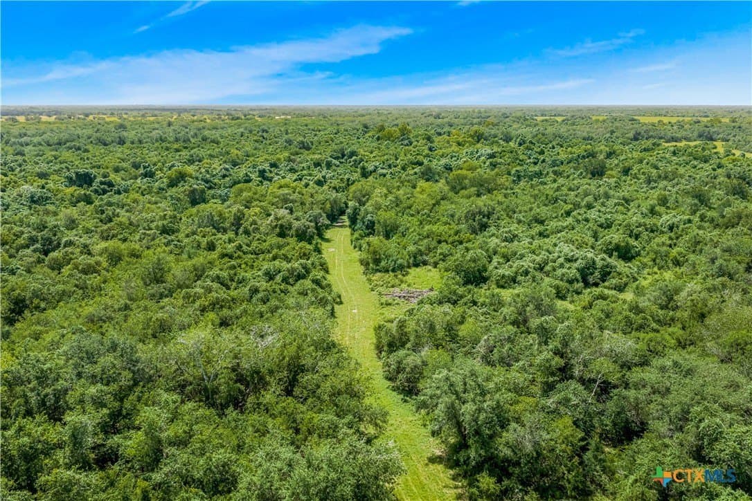 85 acres in Goliad County - photo 17