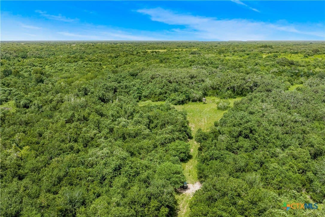 85 acres in Goliad County - photo 16