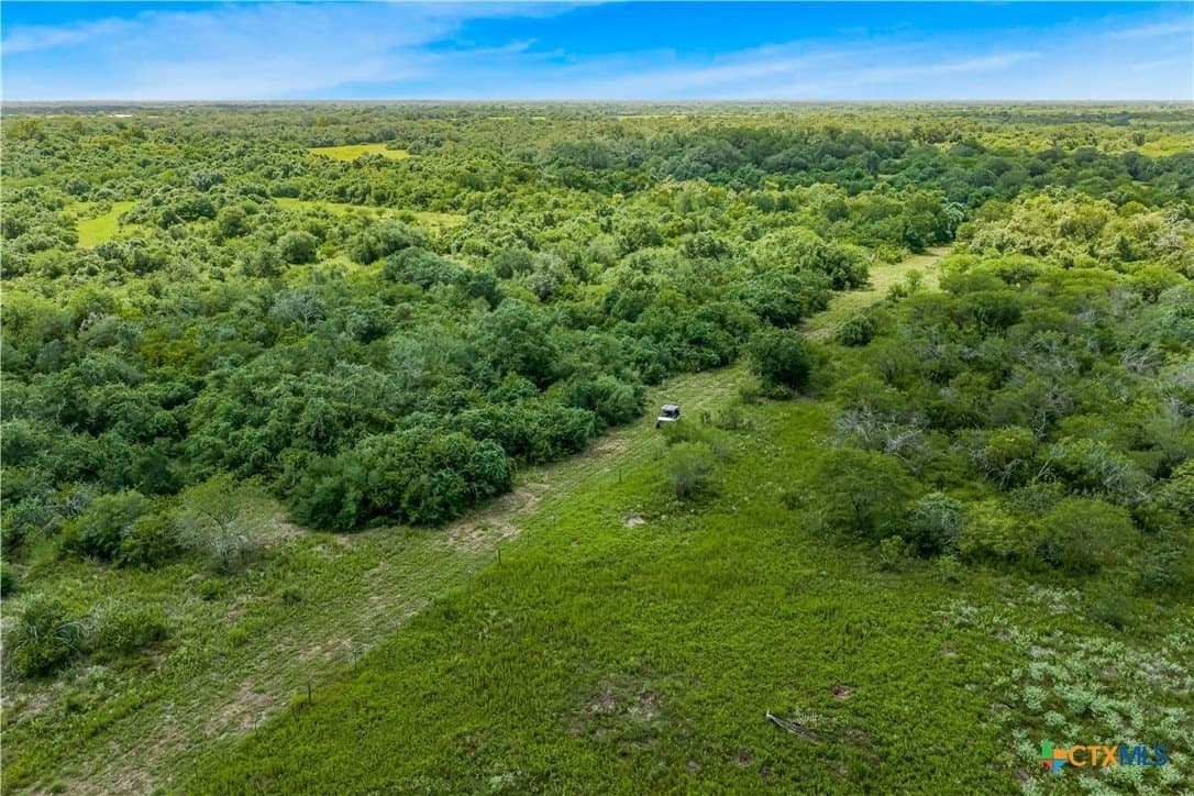 85 acres in Goliad County - photo 7