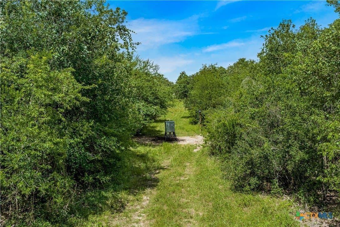 85 acres in Goliad County - photo 12