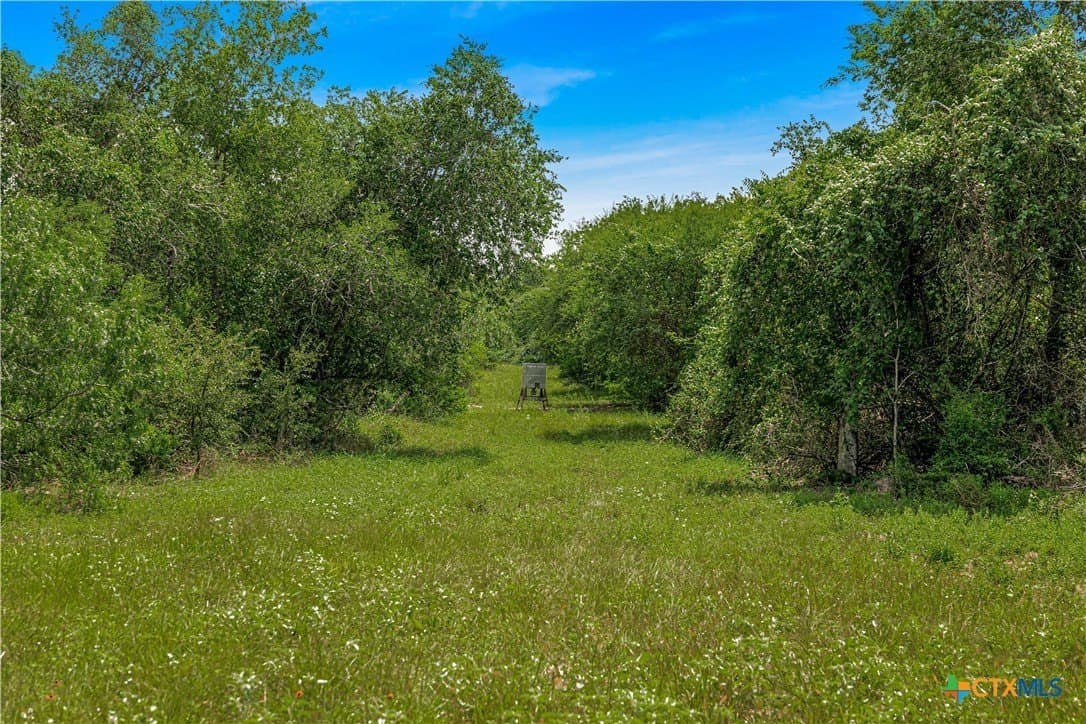 85 acres in Goliad County - photo 20
