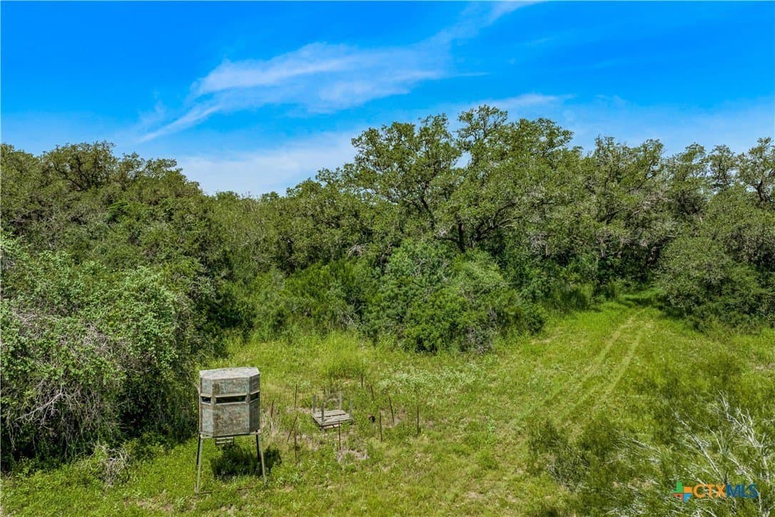 85 acres in Goliad County - photo 9