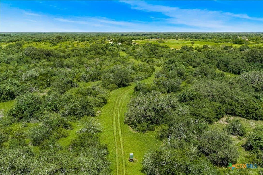 85 acres in Goliad County gallery image 2