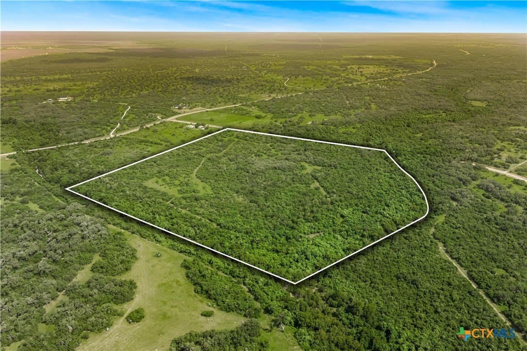 85 acres in Goliad County - photo 14